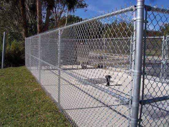 Pool Fencing